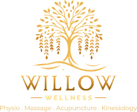 Logo | Willow Wellness | Langley BC