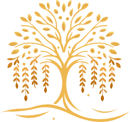 Logo Tree Icon | Willow Wellness | Langley BC | Massage Therapy